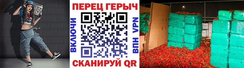 блэк спрут как войти  Стародуб  ГЕРОИН герыч 