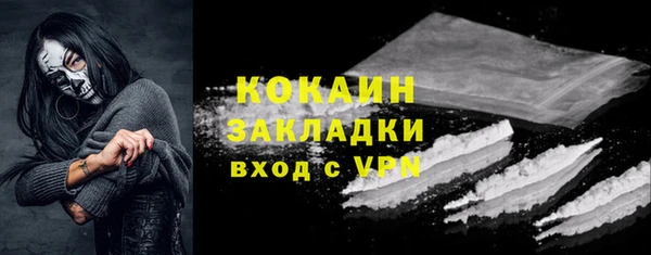 крисы Корсаков
