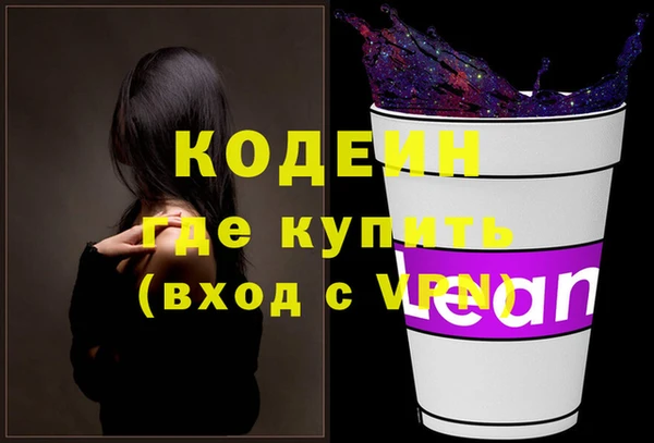 крисы Корсаков