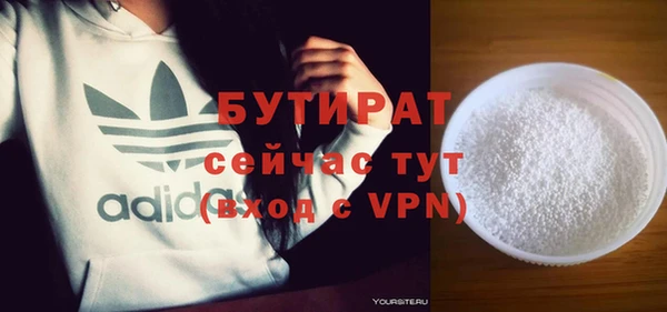 крисы Корсаков