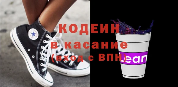сатива Кулебаки