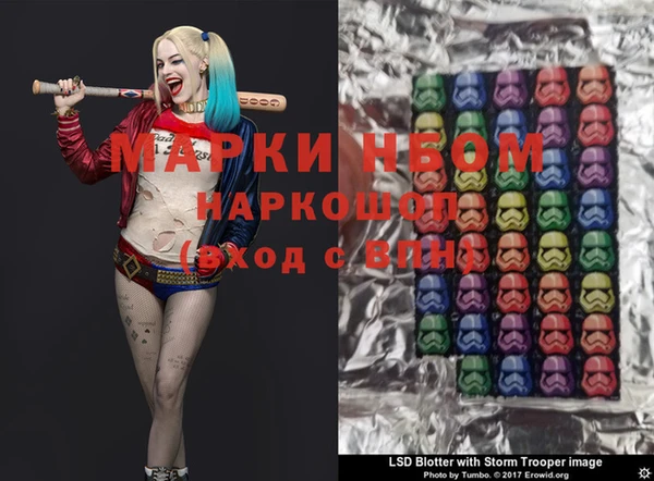крисы Корсаков