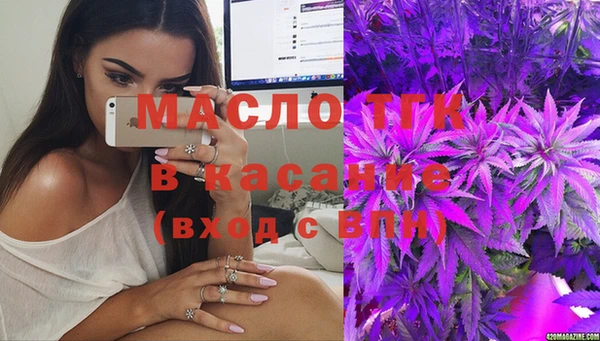 крисы Корсаков